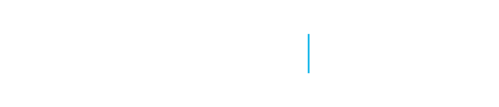 P. Christensen brugte biler logo